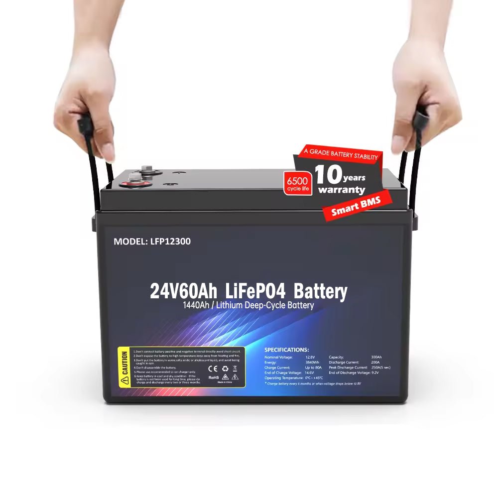 SS-24V60AH LiFePO4 Battery 1440WH - SHIELDEN