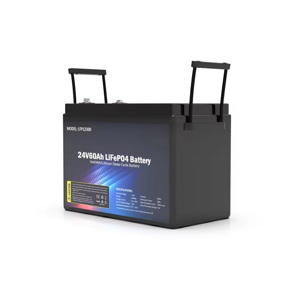 SS-24V60AH LiFePO4 Battery 1440WH - SHIELDEN